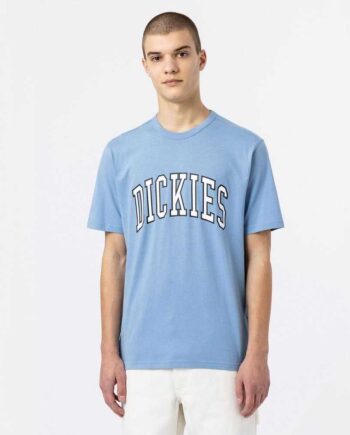 Blå Dickies Aitkin Shirt Allure - Dickies T-shirts  - 196013074753